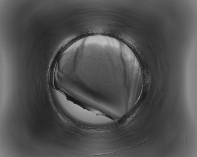 X0000082930678200703020106