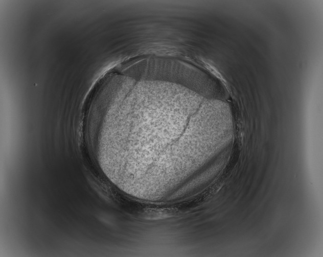 X0000082930679200703020106