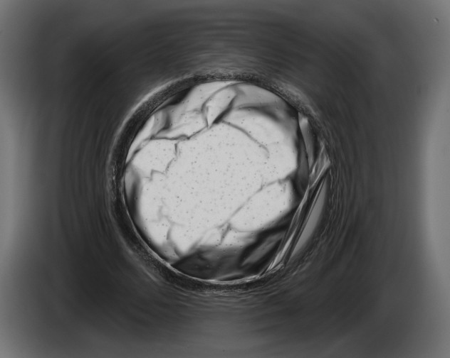 X0000082930680200703020106