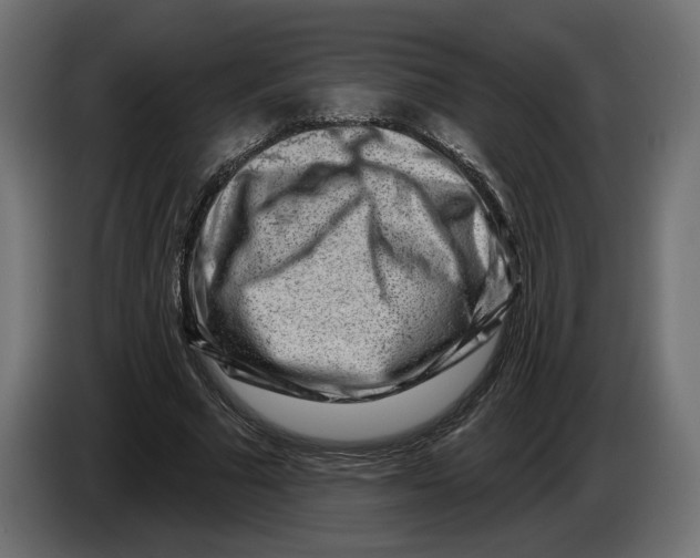 X0000082930681200703020106