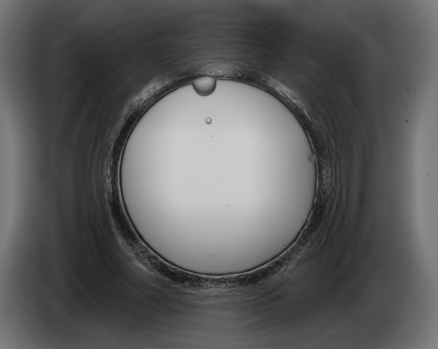 X0000082930682200703020106