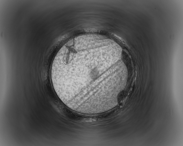 X0000082930687200703020106