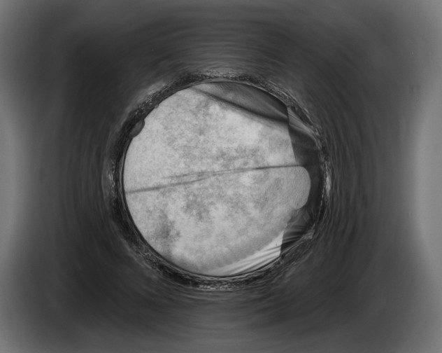 X0000082930688200703020106