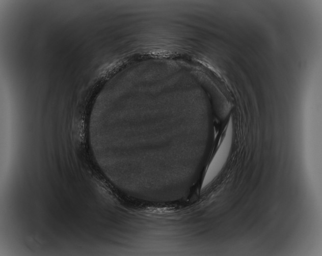 X0000082930689200703020106