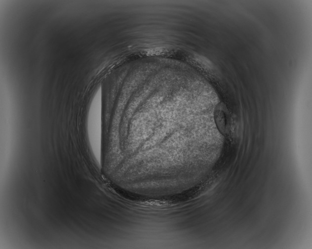 X0000082930691200703020106