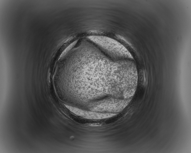 X0000082930692200703020106