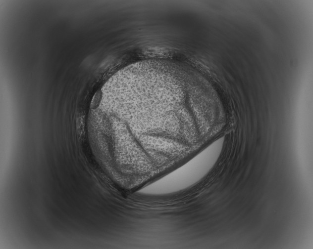 X0000082930699200703020105