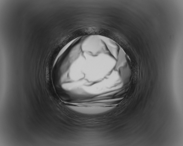 X0000082930700200703020105