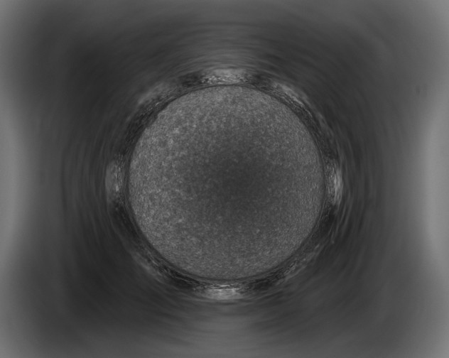 X0000082930701200703020105