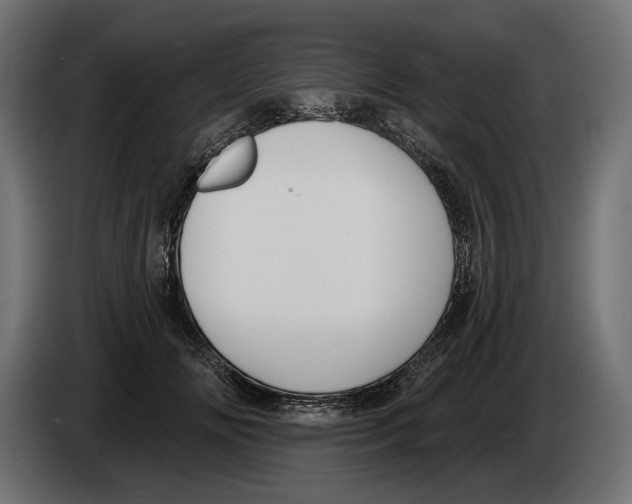 X0000082930702200703020105