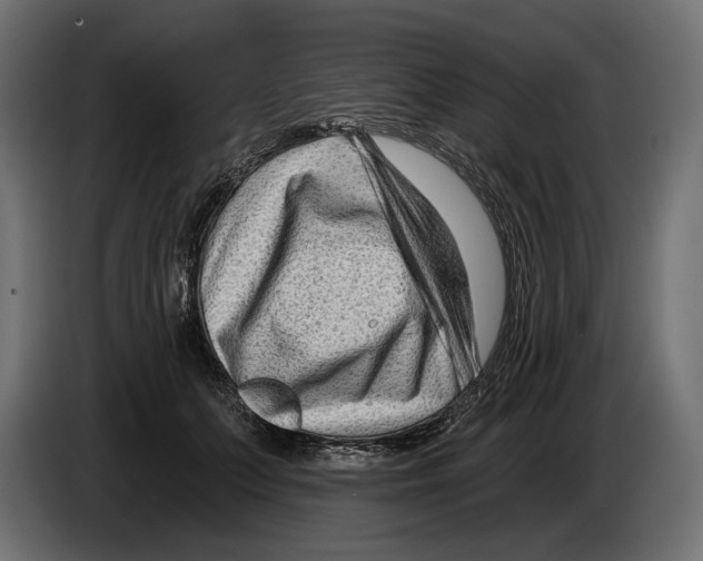 X0000082930703200703020105