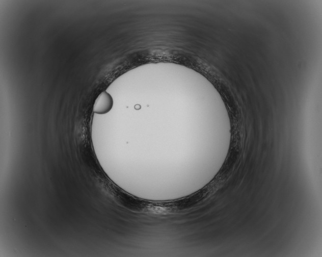X0000082930706200703020105