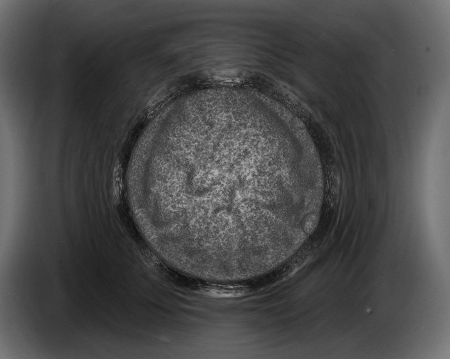 X0000082930707200703020105