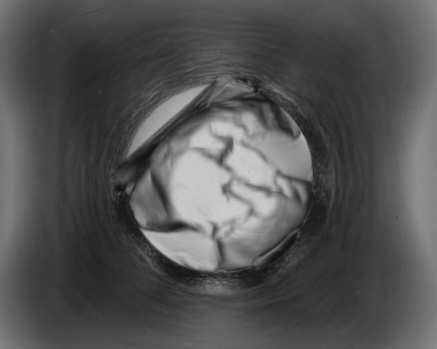 X0000082930708200703020105