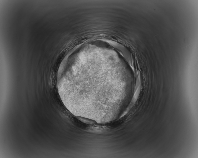 X0000082930712200703020105