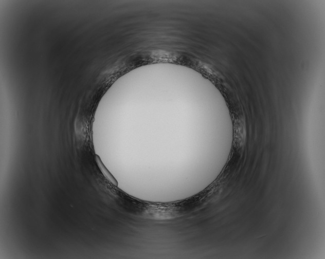 X0000082930713200703020105