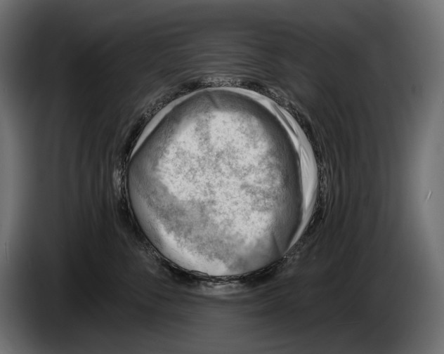 X0000082930716200703020105