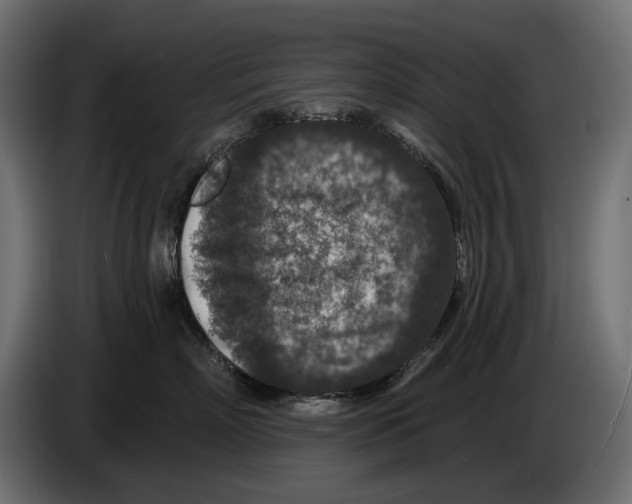 X0000082930718200703020105