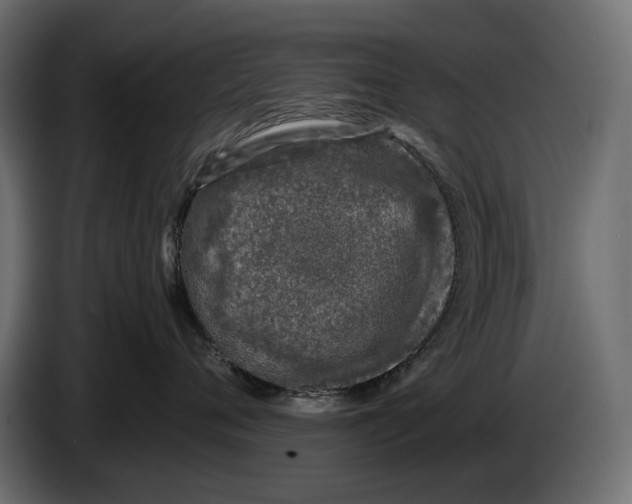 X0000082930720200703020105