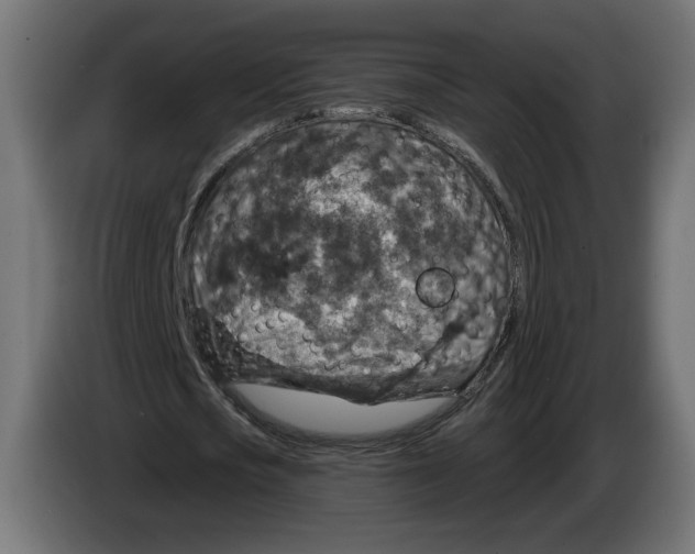 X0000082930721200703020105