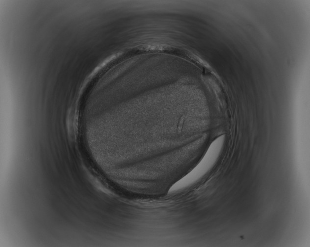 X0000082930722200703020105