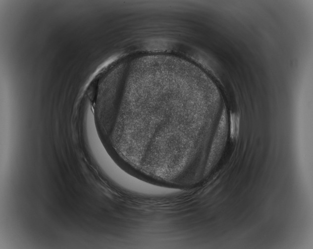 X0000082930723200703020105