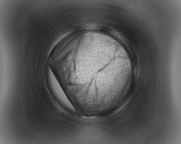 X0000082930725200703020105
