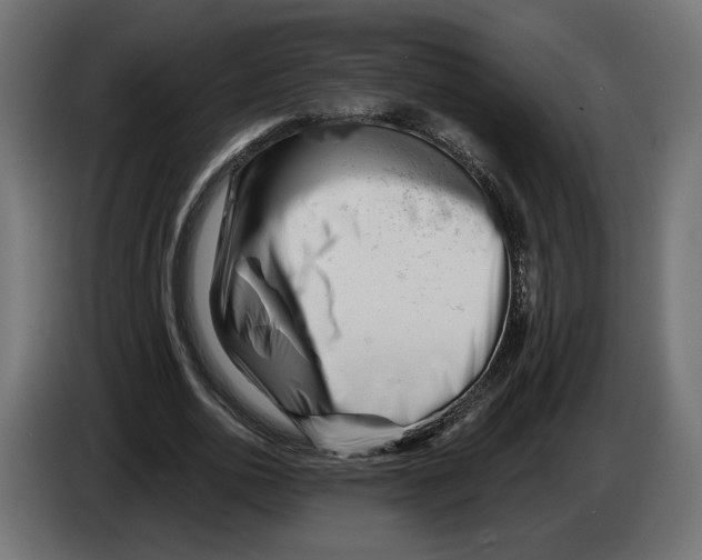 X0000082930726200703020105
