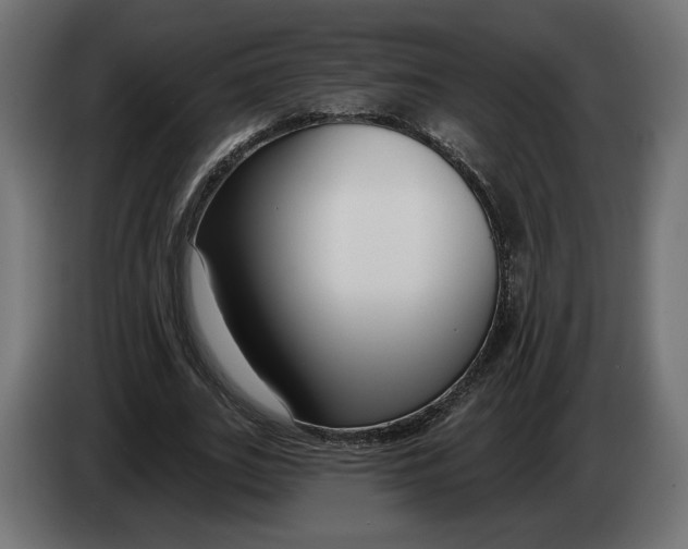 X0000082930727200703020105