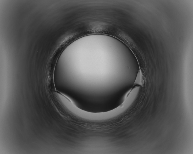 X0000082930728200703020105