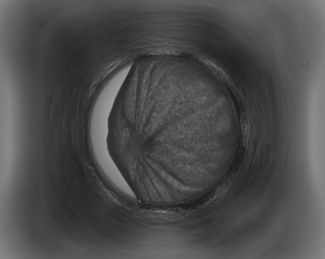 X0000082930729200703020105