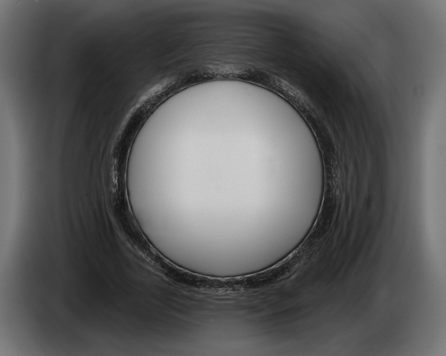 X0000082930731200703020105
