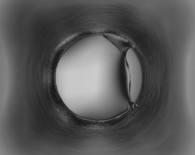 X0000082930732200703020105