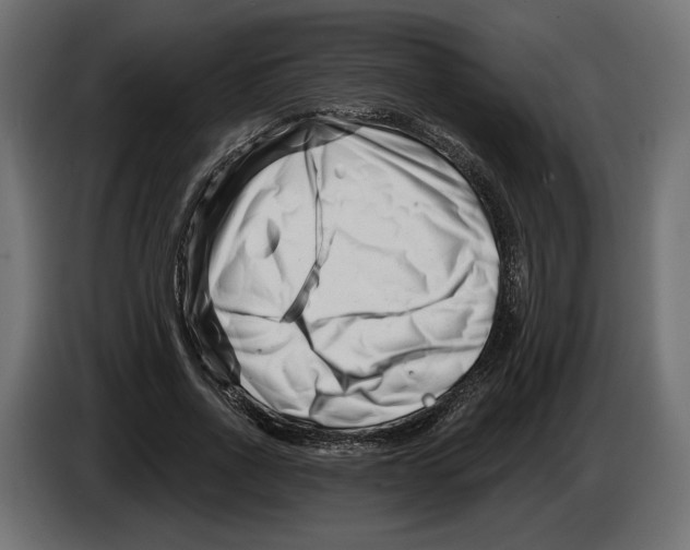 X0000082930734200703020105