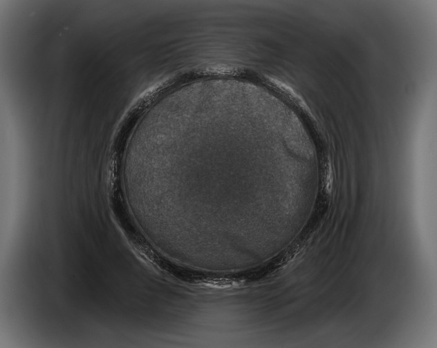 X0000082930736200703020105