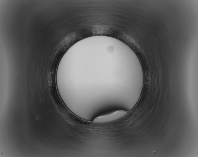 X0000082930738200703020105