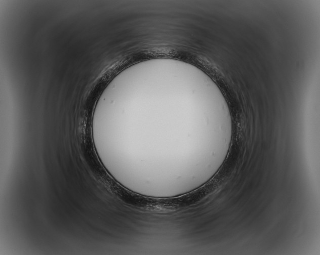 X0000082930739200703020105