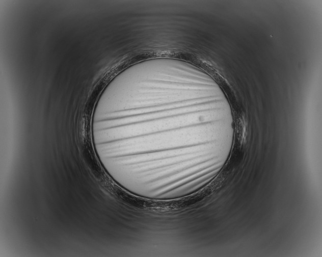 X0000082930740200703020105