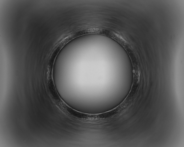 X0000082930744200703020105