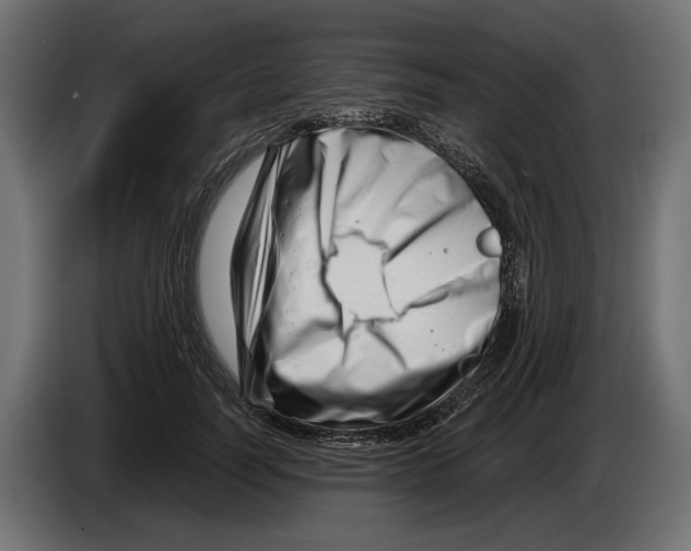 X0000082930746200703020105