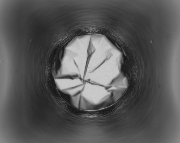 X0000082930747200703020105