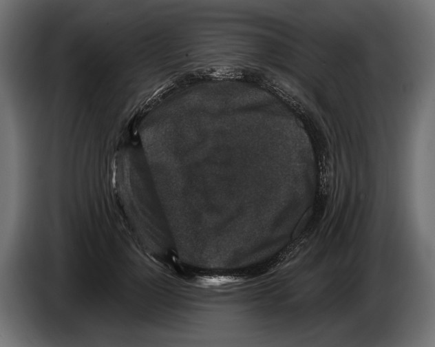 X0000082930748200703020105