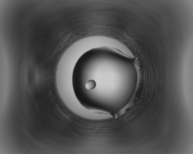 X0000082930750200703020105