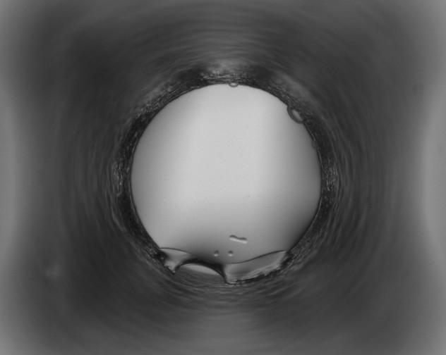 X0000082930751200703020105