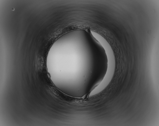 X0000082930752200703020105
