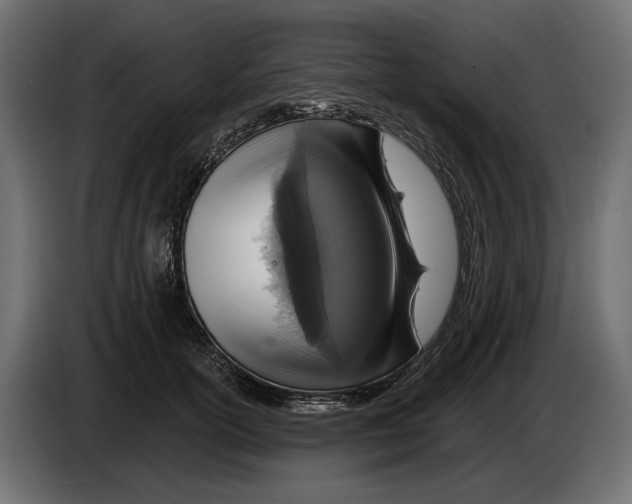 X0000082930754200703020105
