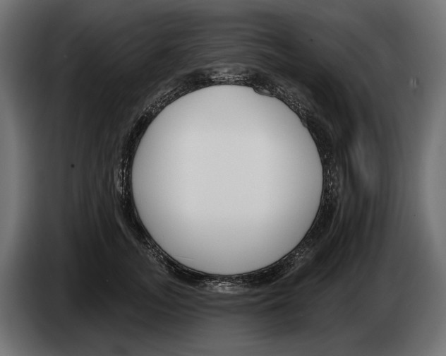 X0000082930755200703020105
