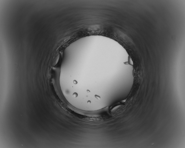 X0000082930756200703020105