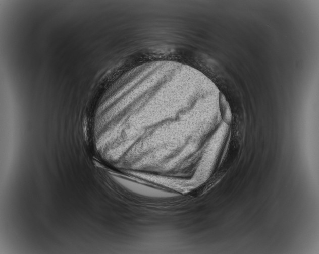 X0000082930758200703020105