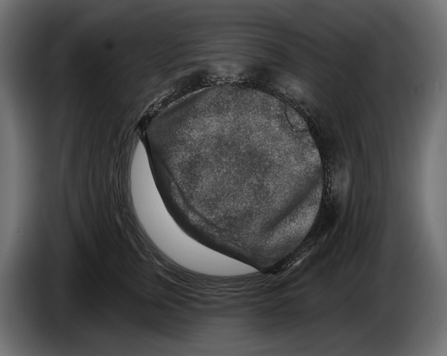 X0000082930759200703020105